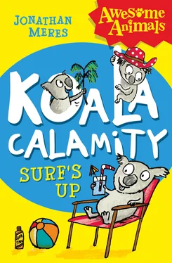 Jonathan Meres Koala Calamity - Surf’s Up! обложка книги