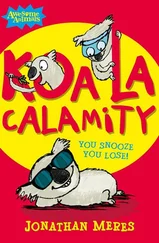 Jonathan Meres - Koala Calamity