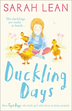 Sarah Lean Duckling Days обложка книги