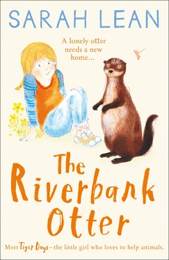 Sarah Lean The Riverbank Otter обложка книги