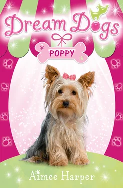 Aimee Harper Dream Dogs - Poppy обложка книги
