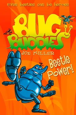 Joe Miller Beetle Power! обложка книги