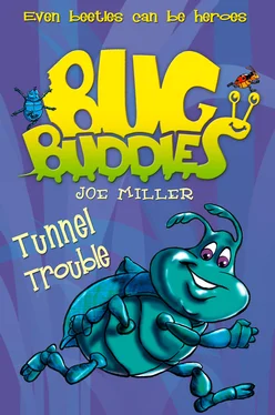 Joe Miller Tunnel Trouble обложка книги