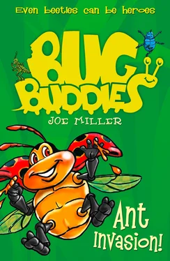 Joe Miller Ant Invasion обложка книги