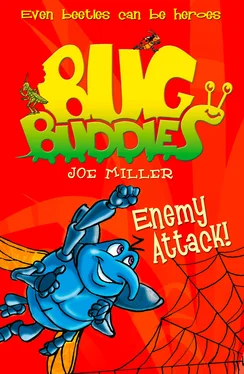 Joe Miller Enemy Attack! обложка книги