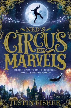 Justin Fisher Ned’s Circus of Marvels обложка книги