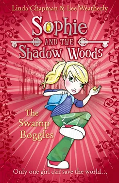 Linda Chapman The Swamp Boggles обложка книги