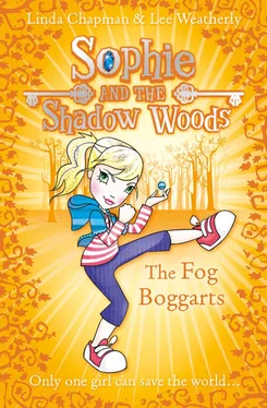 Linda Chapman The Fog Boggarts обложка книги