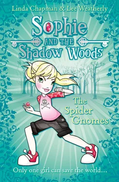 Linda Chapman The Spider Gnomes обложка книги