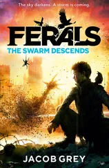 Jacob Grey - The Swarm Descends