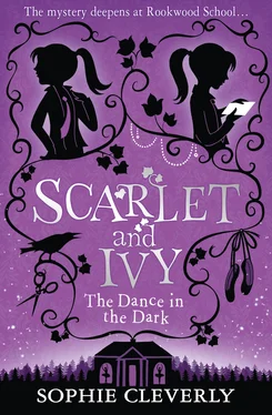 Sophie Cleverly The Dance in the Dark обложка книги