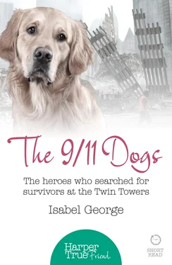 Isabel George The 9/11 Dogs: The heroes who searched for survivors at Ground Zero обложка книги