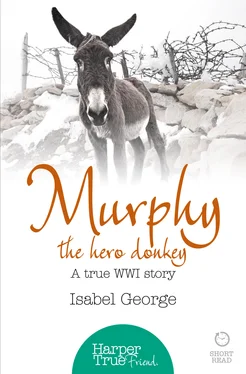 Isabel George Murphy the Hero Donkey: A true WW1 story обложка книги