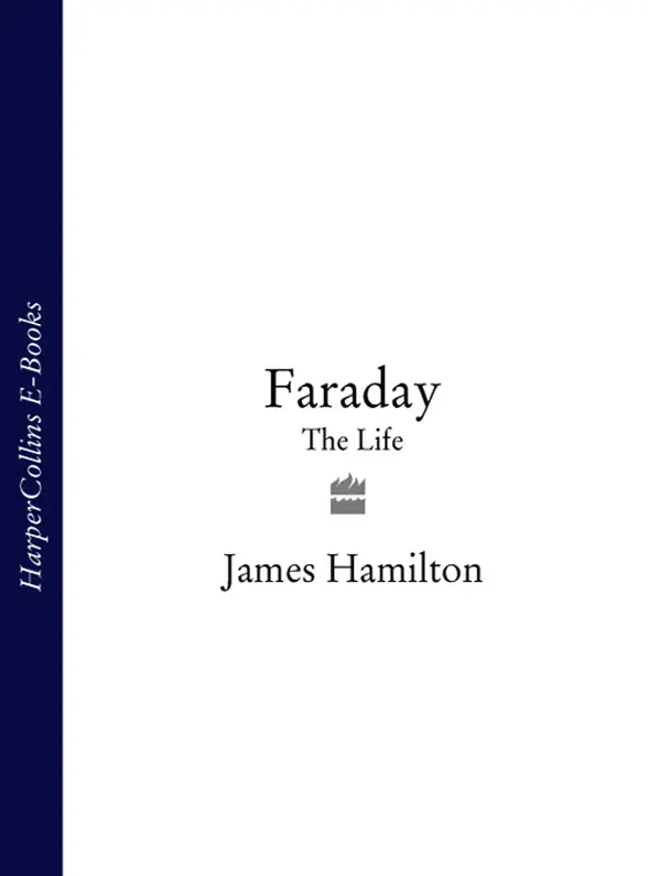 FARADAY The Life James Hamilton DEDICATION For my family CONTENTS - фото 1