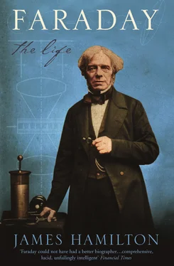 James Hamilton Faraday: The Life обложка книги