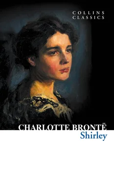 Charlotte Bronte Shirley обложка книги