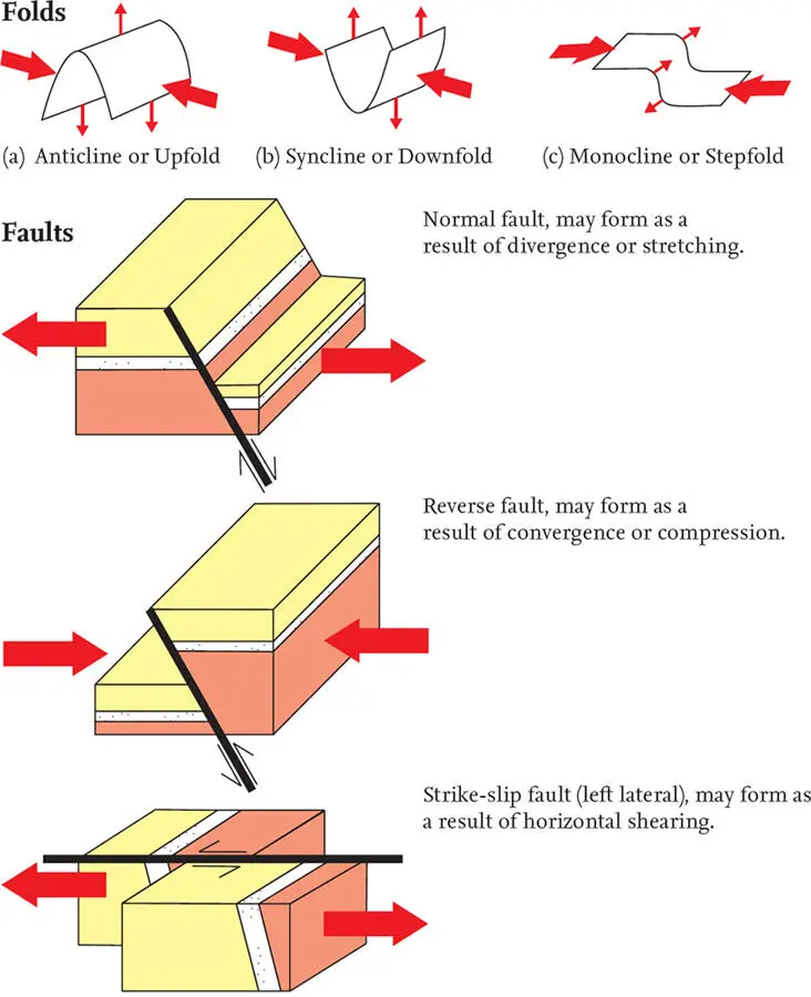 FIG 17 The most important types of folds and faults and the local patterns of - фото 11