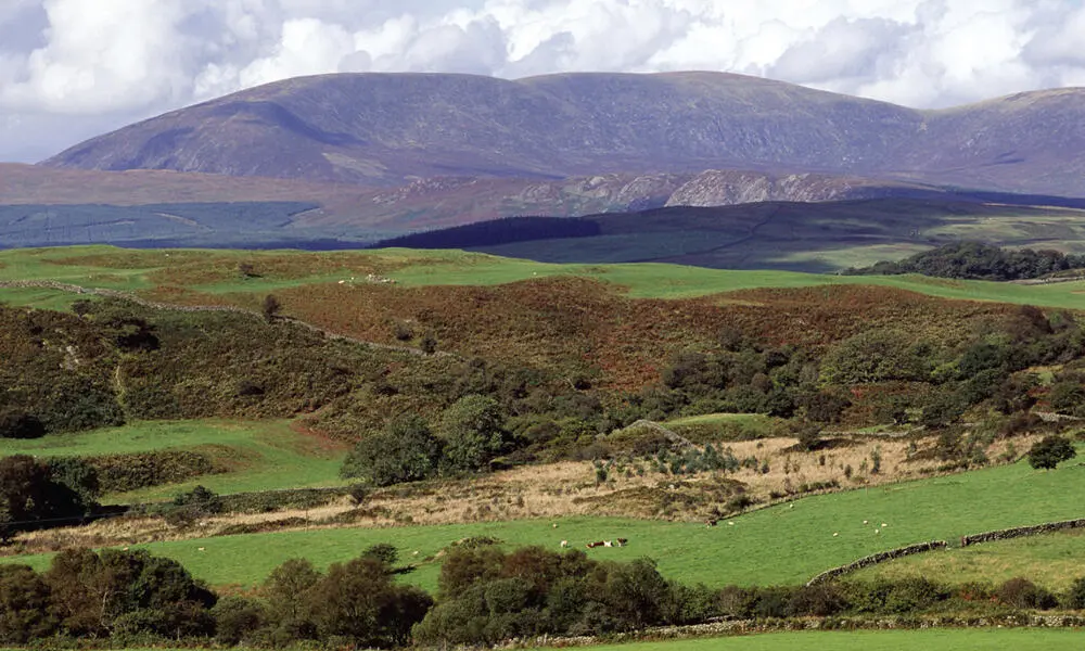 FIG 49 Cairnsmore of Fleet 711 m 10 km east of Newton Stewart viewed from - фото 26