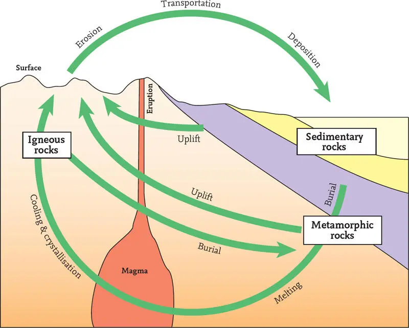 FIG 4 Diagram illustrating the processes of movement occurring within the - фото 2