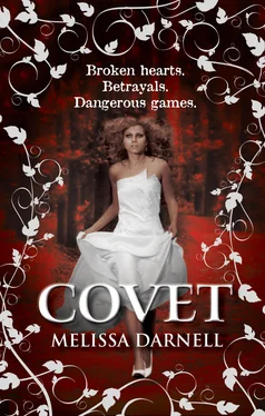 Melissa Darnell Covet обложка книги