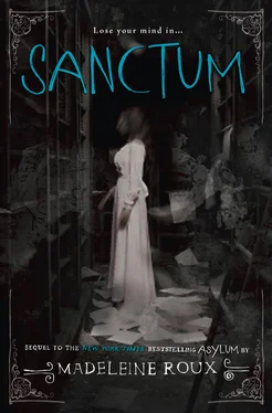 Madeleine Roux Sanctum обложка книги