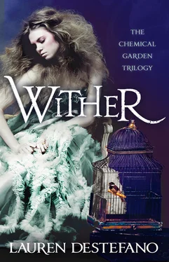 Lauren DeStefano Wither обложка книги