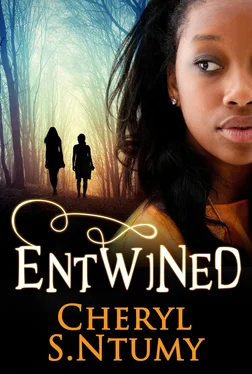 Cheryl Ntumy Entwined обложка книги