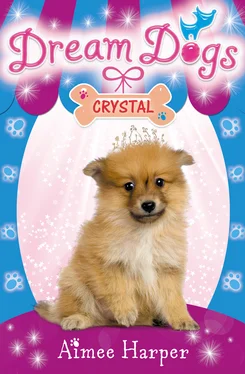 Aimee Harper Crystal обложка книги