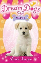 Aimee Harper - Nugget