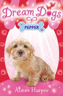Aimee Harper Pepper обложка книги