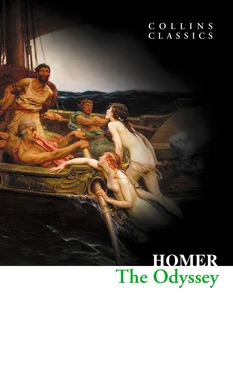 Homer Homer The Odyssey обложка книги