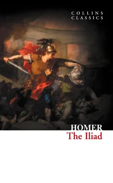 Homer Homer The Iliad обложка книги