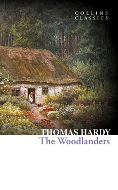 Thomas Hardy The Woodlanders обложка книги