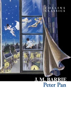 J.M. Barrie Peter Pan обложка книги
