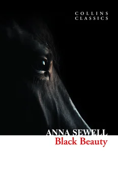 Anna Sewell Black Beauty обложка книги