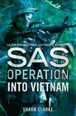 Shaun Clarke Into Vietnam обложка книги
