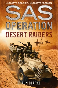 Shaun Clarke Desert Raiders обложка книги