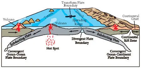 FIG 32Diagram illustrating the movement processes of plates not to scale - фото 21