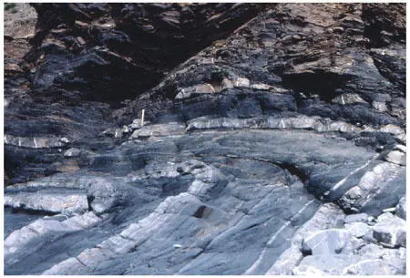 FIG 76Overturned fold in Crackington Formation Culm Measures Crackington - фото 37
