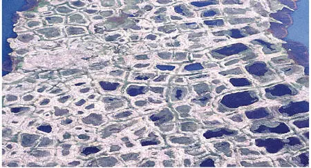 FIG 17Polygonal frozen ground patterns on the Arctic coastal plain near - фото 10