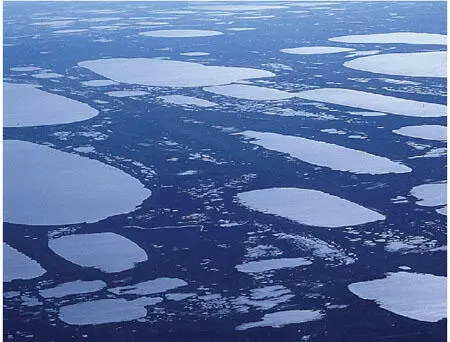 FIG 18Thaw lakes the larger ones several kilometres long on the Arctic - фото 11