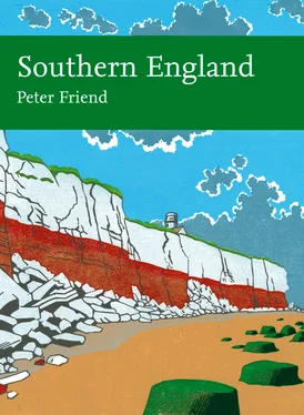 Peter Friend Southern England обложка книги