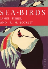 James Fisher - Sea-Birds