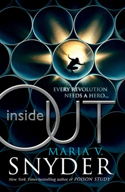 Maria Snyder Inside Out обложка книги