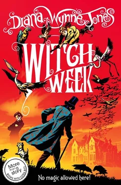 Diana Jones Witch Week обложка книги