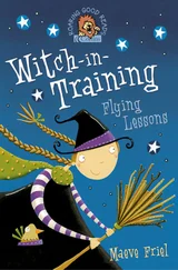 Nathan Reed - Flying Lessons