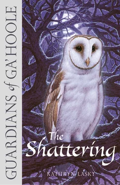 Kathryn Lasky The Shattering обложка книги