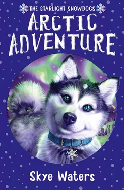 Skye Waters Arctic Adventure обложка книги