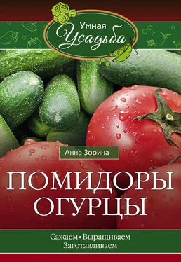 Анна Зорина Помидоры, огурцы обложка книги