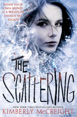 Kimberly McCreight The Scattering обложка книги